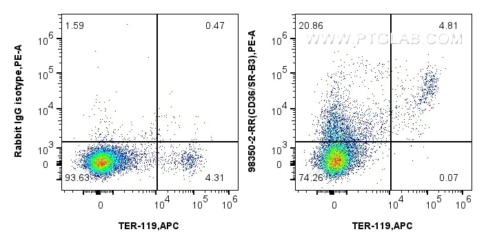 Flow cytometry (FC) experiment of mouse bone marrow cells using Anti-Mouse CD36 Rabbit Recombinant Antibody (98350-2-RR)