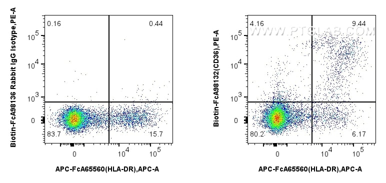 1x10^6 human PBMCs were surface stained with 0.25 ug Biotin Anti-Human CD36 Rabbit RecAb (Biotin-FcA98132, Clone: 241262D5) or FcZero-rAb™ Biotin Rabbit IgG Isotype Control Recombinant Antibody (Biotin-FcA98136, Clone: 240953C9), and Streptavidin-PE Conjugate (PE-PF00030). Cells were co-stained with FcZero-rAb™ APC Anti-Human HLA-DR (L243) Rabbit IgG Recombinant Antibody (APC-FcA65560, Clone: L243). Cells were not fixed. Flow cytometry (FC) experiment of human PBMCs using FcZero-rAb™ Biotin Anti-Human CD36 Rabbit Recombin (Biotin-FcA98132)