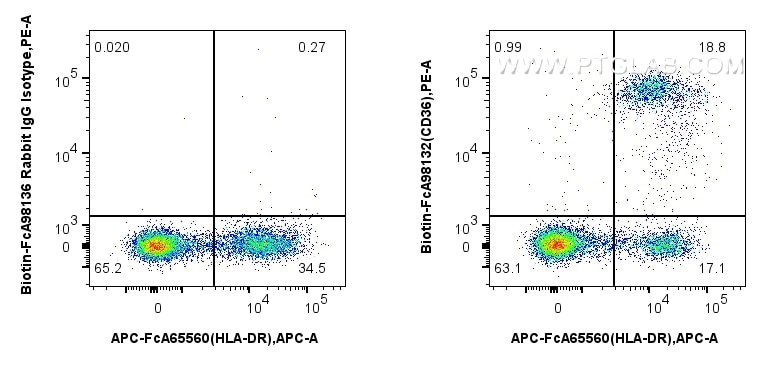 Flow cytometry (FC) experiment of human PBMCs using FcZero-rAb® Biotin Anti-Human CD36 Rabbit Recombin (Biotin-FcA98132)
