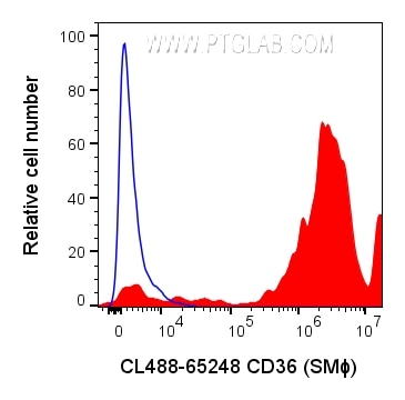 Flow cytometry (FC) experiment of human peripheral blood platelets using CoraLite® Plus 488 Anti-Human CD36 (SMΦ) (CL488-65248)