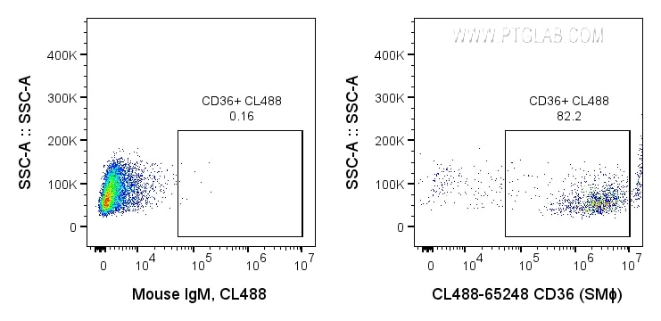 Flow cytometry (FC) experiment of human peripheral blood platelets using CoraLite® Plus 488 Anti-Human CD36 (SMΦ) (CL488-65248)