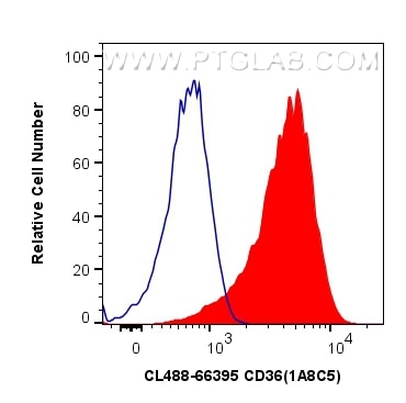 Flow cytometry (FC) experiment of THP-1 cells using CoraLite® Plus 488-conjugated CD36 Monoclonal anti (CL488-66395)