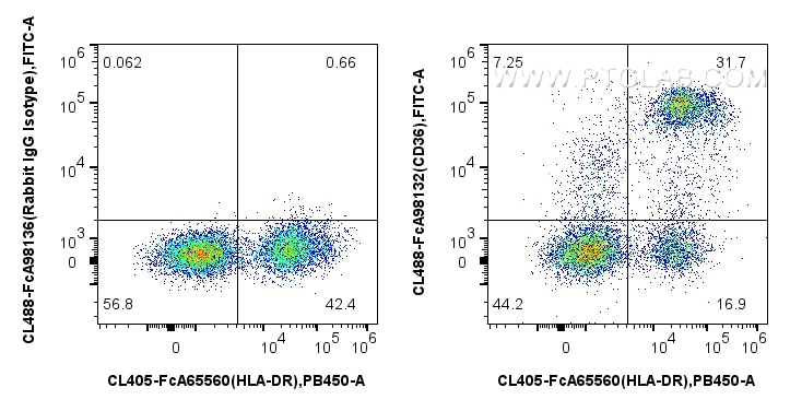 Flow cytometry (FC) experiment of human PBMCs using FcZero-rAb® CoraLite® Plus 488 Anti-Human CD36 Rab (CL488-FcA98132)
