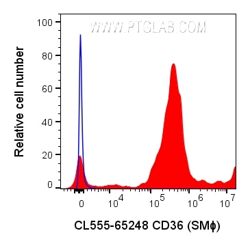 Flow cytometry (FC) experiment of human peripheral blood platelets using CoraLite® Plus 555 Anti-Human CD36 (SMΦ) (CL555-65248)
