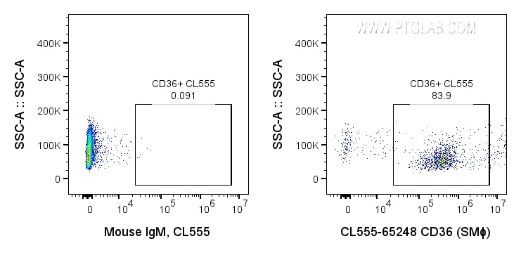 Flow cytometry (FC) experiment of human peripheral blood platelets using CoraLite® Plus 555 Anti-Human CD36 (SMΦ) (CL555-65248)