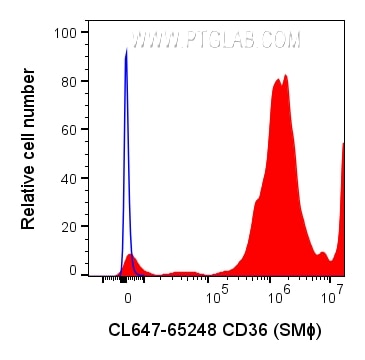 Flow cytometry (FC) experiment of human peripheral blood platelets using CoraLite® Plus 647 Anti-Human CD36 (SMΦ) (CL647-65248)