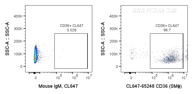 Flow cytometry (FC) experiment of human peripheral blood platelets using CoraLite® Plus 647 Anti-Human CD36 (SMΦ) (CL647-65248)
