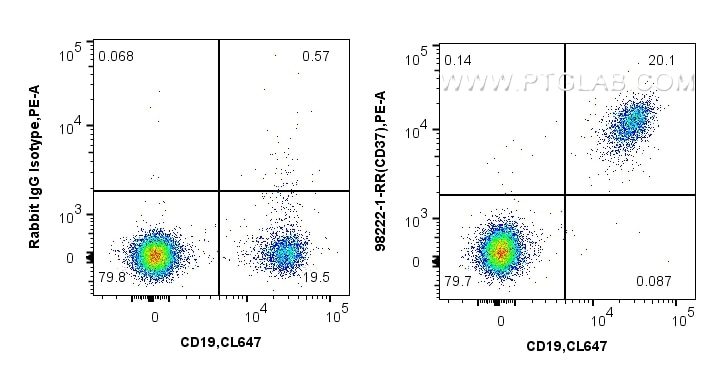 FC experiment of human PBMCs using 98222-1-RR (same clone as 98222-1-PBS) Flow cytometry (FC) experiment of human PBMCs using Anti-Human CD37 Rabbit Recombinant Antibody (98222-1-RR)