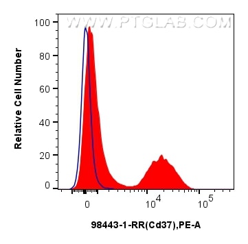 Flow cytometry (FC) experiment of mouse splenocytes using Anti-Mouse CD37 Rabbit Recombinant Antibody (98443-1-RR)