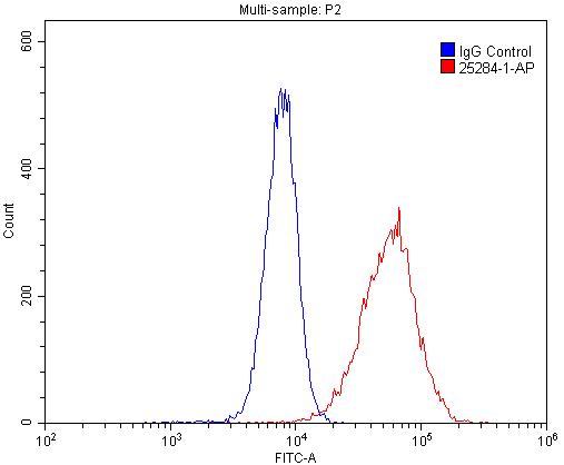 Flow cytometry (FC) experiment of HL-60 cells using CD38 Polyclonal antibody (25284-1-AP)