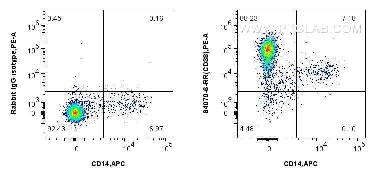 FC experiment of cynomolgus PBMCs using 84070-6-RR (same clone as 84070-6-PBS) Flow cytometry (FC) experiment of cynomolgus PBMCs cells using CD38 Recombinant monoclonal antibody (84070-6-RR)