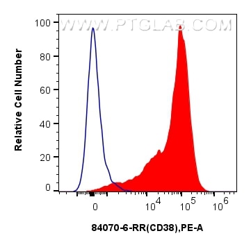FC experiment of cynomolgus PBMCs using 84070-6-RR (same clone as 84070-6-PBS) Flow cytometry (FC) experiment of cynomolgus PBMCs cells using CD38 Recombinant monoclonal antibody (84070-6-RR)