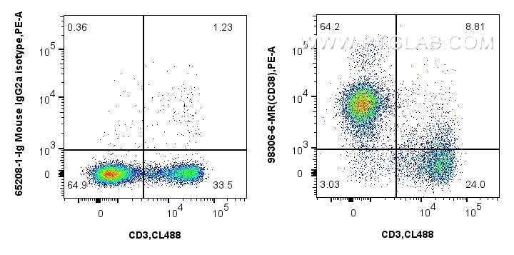 Flow cytometry (FC) experiment of rabbit splenocytes cells using Anti-Rabbit CD38 Mouse Recombinant Antibody (98306-6-MR)