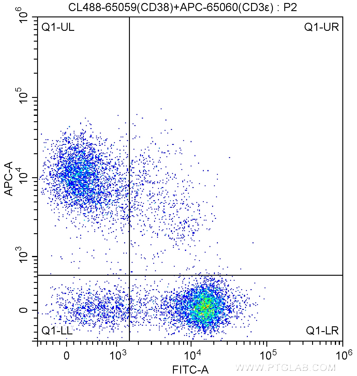 Flow cytometry (FC) experiment of mouse splenocytes using CoraLite® Plus 488 Anti-Mouse CD38 (90) (CL488-65059)