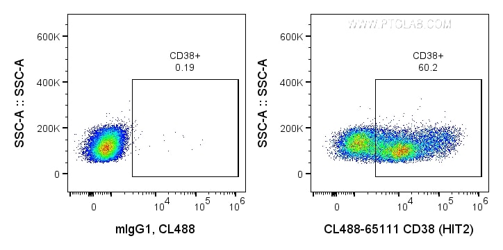 Flow cytometry (FC) experiment of human PBMCs using CoraLite® Plus 488 Anti-Human CD38 (HIT2) (CL488-65111)