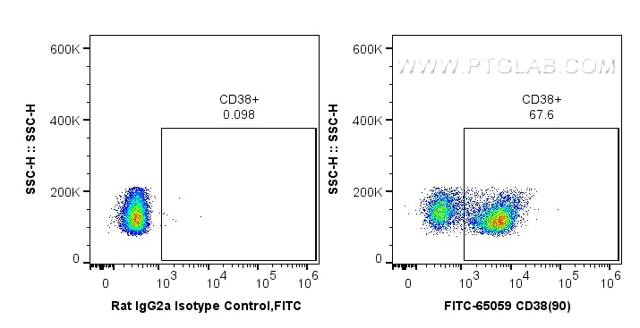 Flow cytometry (FC) experiment of mouse splenocytes using FITC Plus Anti-Mouse CD38 (90) (FITC-65059)