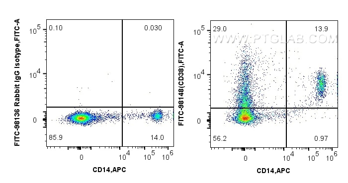 Flow cytometry (FC) experiment of human PBMCs using FITC Plus Anti-Human CD38 Rabbit Recombinant Antib (FITC-98148)