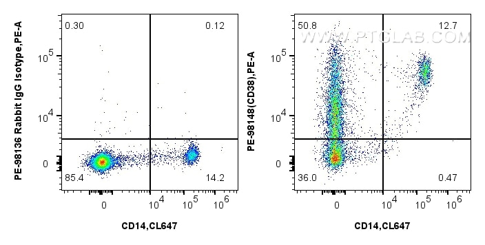 Flow cytometry (FC) experiment of human PBMCs using PE Anti-Human CD38 Rabbit Recombinant Antibody (PE-98148)