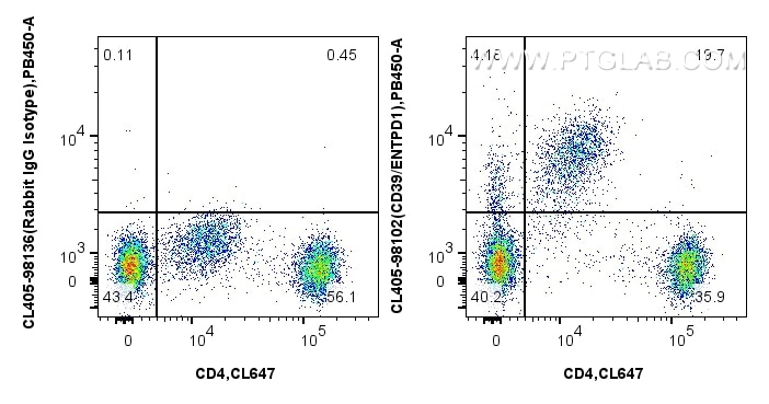 Flow cytometry (FC) experiment of human PBMCs using CoraLite® Plus 405 Anti-Human CD39/ENTPD1 Rabbit R (CL405-98102)