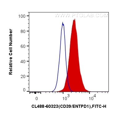 Flow cytometry (FC) experiment of Jurkat cells using CoraLite® Plus 488-conjugated CD39/ENTPD1 Monoclon (CL488-60323)