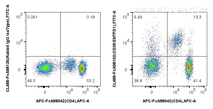 1x10^6 human PBMCs were surface stained with APC Anti-Human CD4, and 5 ul CoraLite® Plus 488 Anti-Human CD39/ENTPD1 Rabbit RecAb (CL488-FcA98102, Clone: 241292G7) or Rabbit IgG Isotype Control RecAb (CL488-FcA98136, Clone: 240953C9). Cells were not fixed. Flow cytometry (FC) experiment of human PBMCs using FcZero-rAb™ CoraLite® Plus 488 Anti-Human CD39/ENT (CL488-FcA98102)