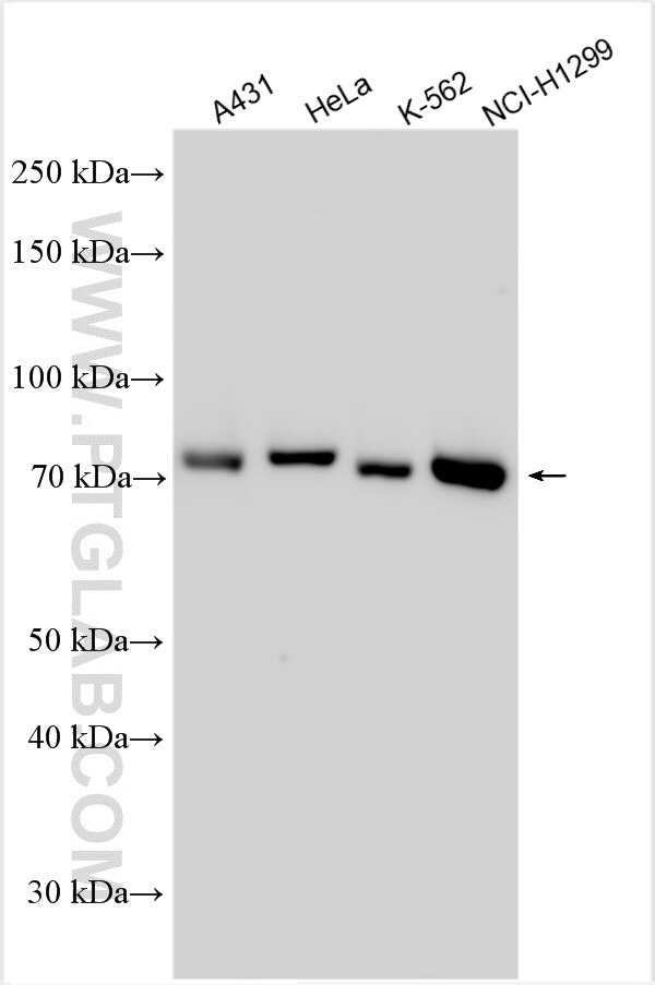 CD3EAP
