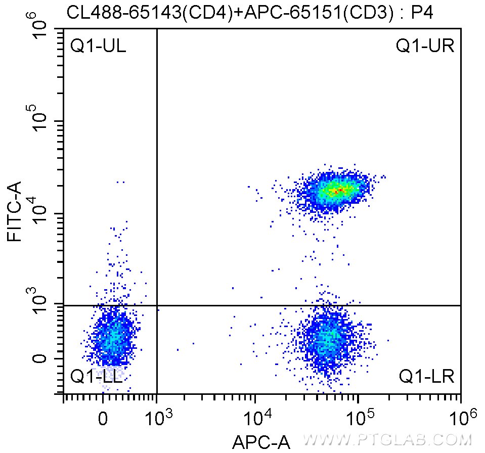 Flow cytometry (FC) experiment of human peripheral blood lymphocytes using CoraLite® Plus 488 Anti-Human CD4 (RPA-T4) (CL488-65143)