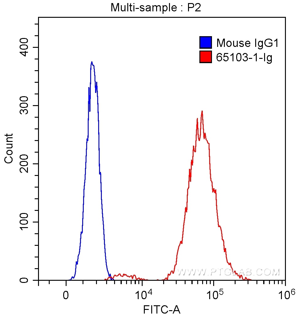 Flow cytometry (FC) experiment of Raji cells using Anti-Human CD40 (G28.5) (65103-1-Ig)