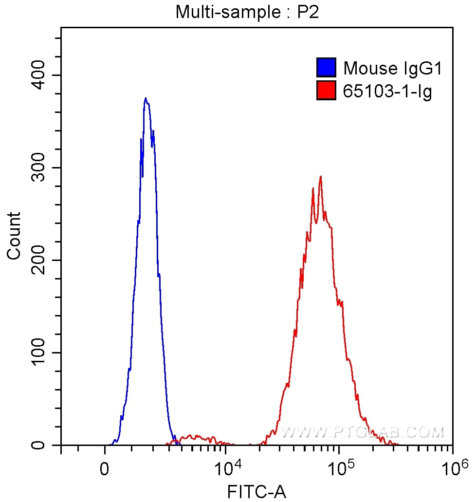 CD40