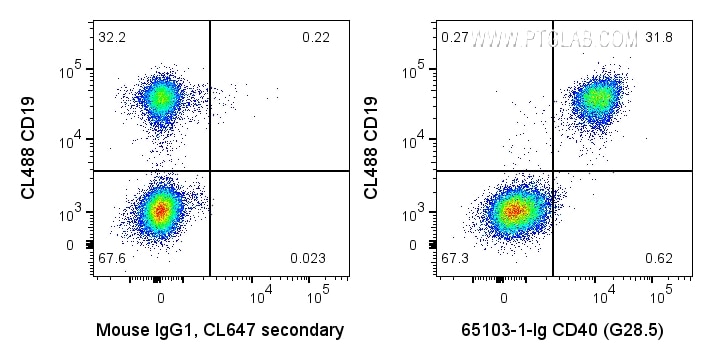Flow cytometry (FC) experiment of human PBMCs using Anti-Human CD40 (G28.5) (65103-1-Ig)