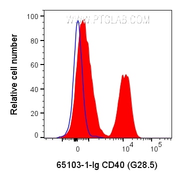 Flow cytometry (FC) experiment of human PBMCs using Anti-Human CD40 (G28.5) (65103-1-Ig)