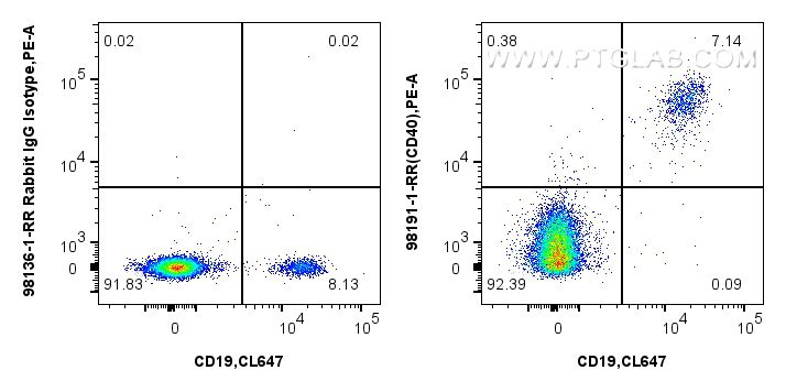 Flow cytometry (FC) experiment of human PBMCs using Anti-Human CD40 Rabbit Recombinant Antibody (98191-1-RR)