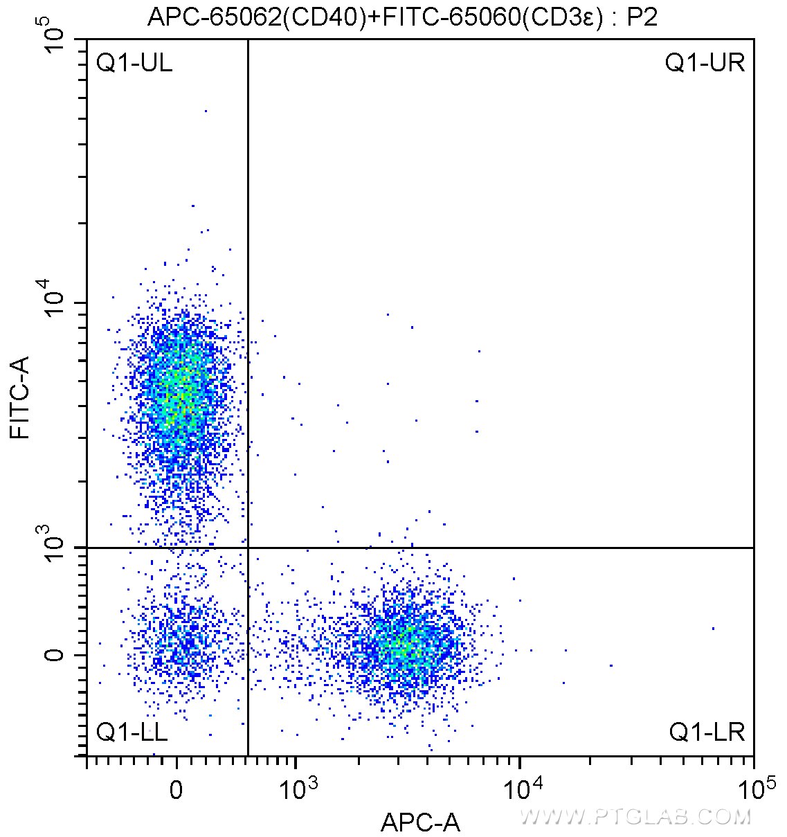 Flow cytometry (FC) experiment of BALB/c mouse splenocytes using APC Anti-Mouse CD40 (1C10) (APC-65062)