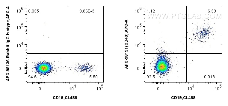 Flow cytometry (FC) experiment of human PBMCs using APC Anti-Human CD40 Rabbit Recombinant Antibody (APC-98191)