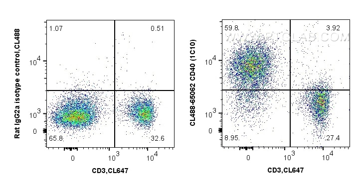 Flow cytometry (FC) experiment of C57BL/6 mouse splenocytes using CoraLite® Plus 488 Anti-Mouse CD40 (1C10) (CL488-65062)