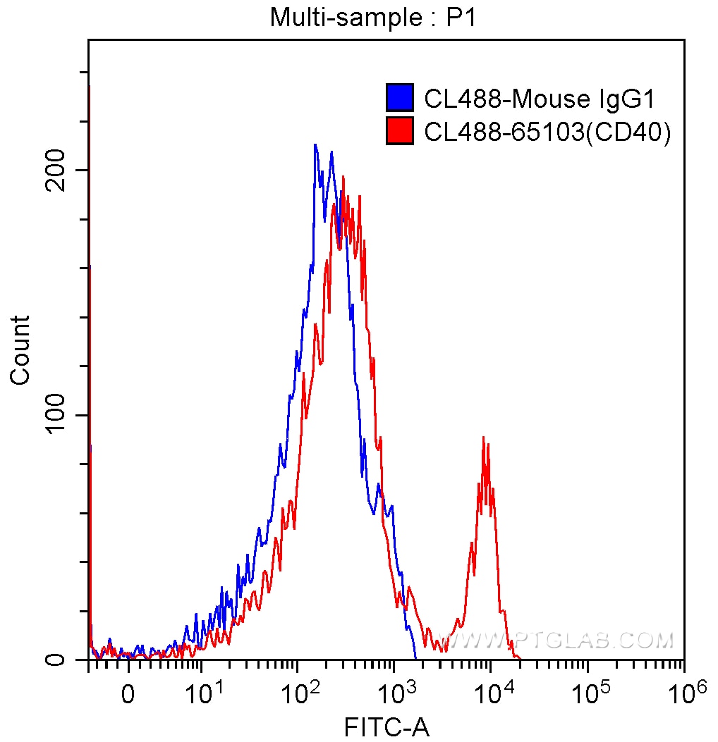 CD40