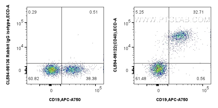 Flow cytometry (FC) experiment of mouse splenocytes using CoraLite®594 Anti-Mouse CD40 Rabbit Recombinant An (CL594-98122)