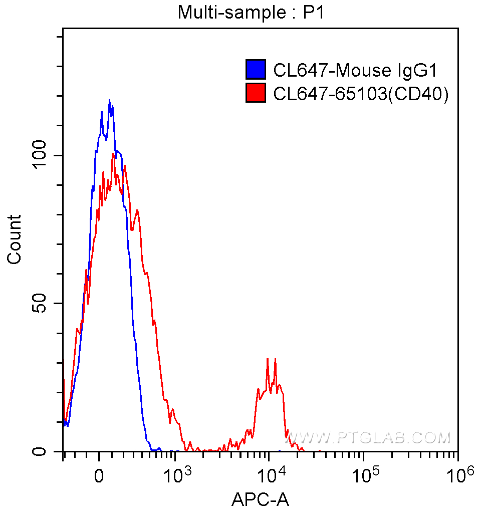 CD40