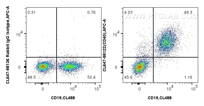 Flow cytometry (FC) experiment of mouse splenocytes using CoraLite® Plus 647 Anti-Mouse CD40 Rabbit Recombin (CL647-98122)