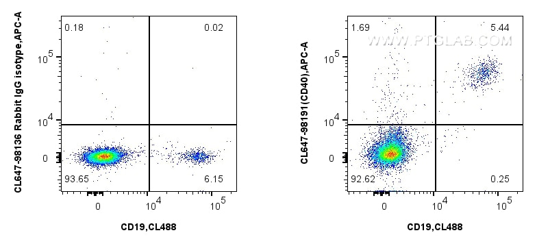 1x10^6 human PBMCs were surface stained with CoraLite® Plus 488 Anti-Human CD19 (4G7) Mouse IgG2a Recombinant Antibody (CL488-65562, Clone: 4G7), and 5 ul CoraLite® Plus 647 Anti-Human CD40 Rabbit RecAb (CL647-98191, Clone: 241760A9) or CoraLite® Plus 647 Rabbit IgG Isotype Control RecAb (CL647-98136, Clone: 240953C9). Cells were not fixed. Flow cytometry (FC) experiment of human PBMCs using CoraLite® Plus 647 Anti-Human CD40 Rabbit Recombin (CL647-98191)
