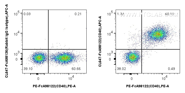 FC experiment of mouse splenocytes using CL647-FcA98122 Flow cytometry (FC) experiment of mouse splenocytes using FcZero-rAb® CoraLite® Plus 647 Anti-Mouse CD40 Rab (CL647-FcA98122)