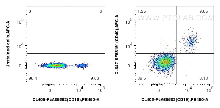 Flow cytometry (FC) experiment of human PBMCs using CoraLite® Plus 647 Anti-Human CD40 Rabbit scFv Ant (CL647-SF98191)