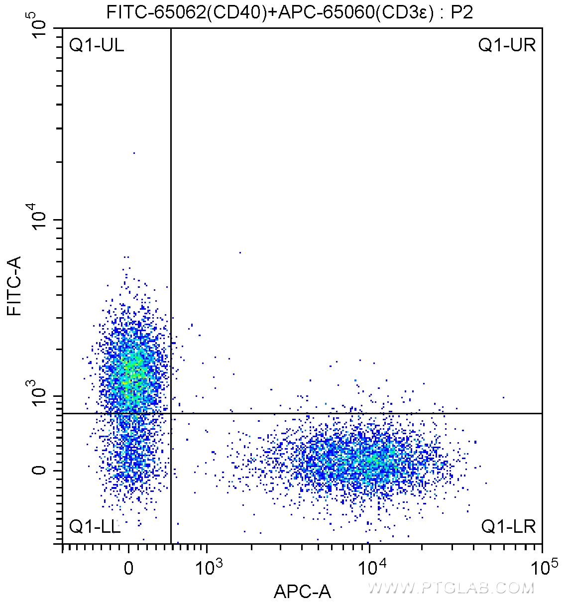 Flow cytometry (FC) experiment of BALB/c mouse splenocytes using FITC Anti-Mouse CD40 (1C10) (FITC-65062)