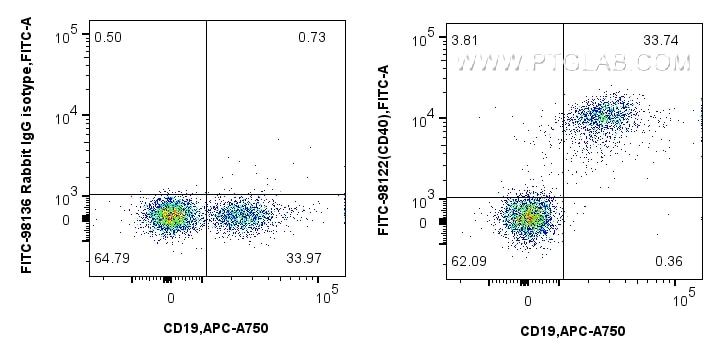 Flow cytometry (FC) experiment of mouse splenocytes using FITC Plus Anti-Mouse CD40 Rabbit Recombinant Antib (FITC-98122)