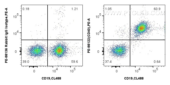 Flow cytometry (FC) experiment of mouse splenocytes using PE Anti-Mouse CD40 Rabbit Recombinant Antibody (PE-98122)