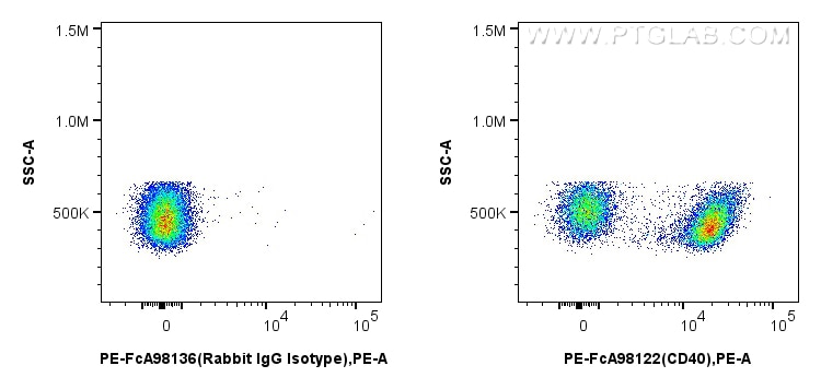 Flow cytometry (FC) experiment of mouse splenocytes using FcZero-rAb™ PE Anti-Mouse CD40 Rabbit Recombinant  (PE-FcA98122)