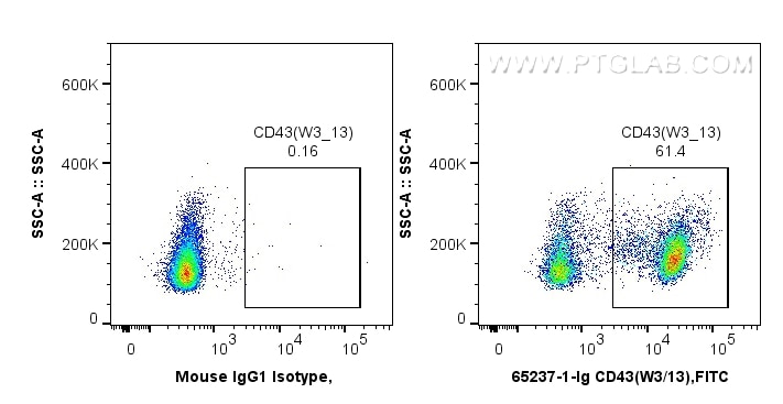 Flow cytometry (FC) experiment of wistar rat splenocytes using Anti-Rat CD43 (W3/13) (65237-1-Ig)