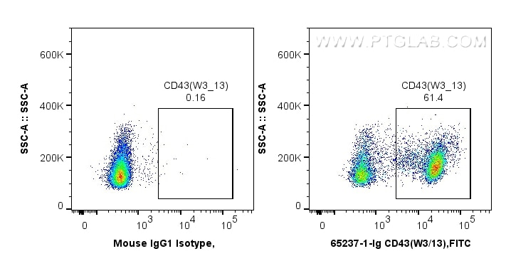 FC experiment of wistar rat splenocytes using 65237-1-Ig