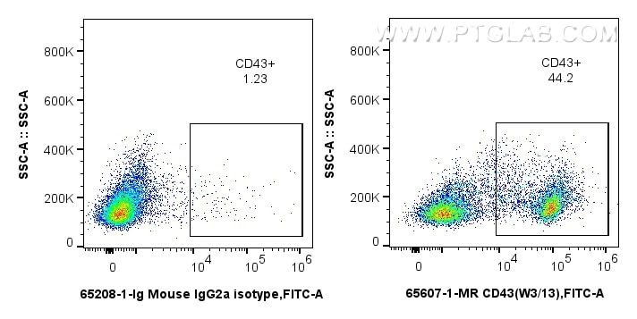 Flow cytometry (FC) experiment of rat splenocytes cells using Anti-Rat CD43 (W3/13) Mouse IgG2a Recombinant Anti (65607-1-MR)