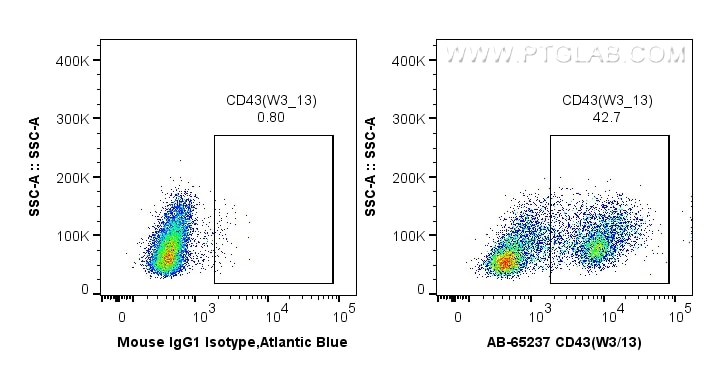 Flow cytometry (FC) experiment of wistar rat splenocytes using Atlantic Blue™ Anti-Rat CD43 (W3/13) (AB-65237)